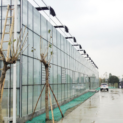 Serra di vetro solare agricola crescente idroponica del sistema per le verdure