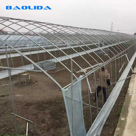 Serra della pellicola di polietilene del tunnel dell'azienda agricola/chiara serra di plastica per varie verdure